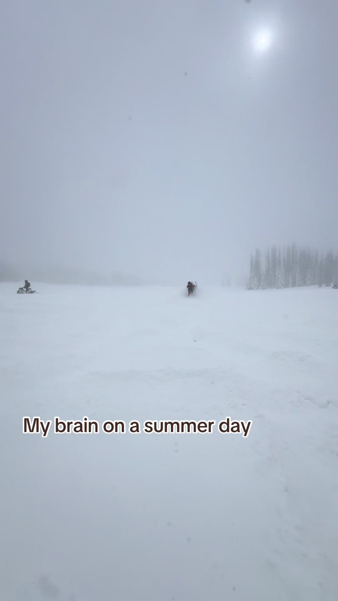 #winter #snowmobile #sledtok #summerday #needthat 