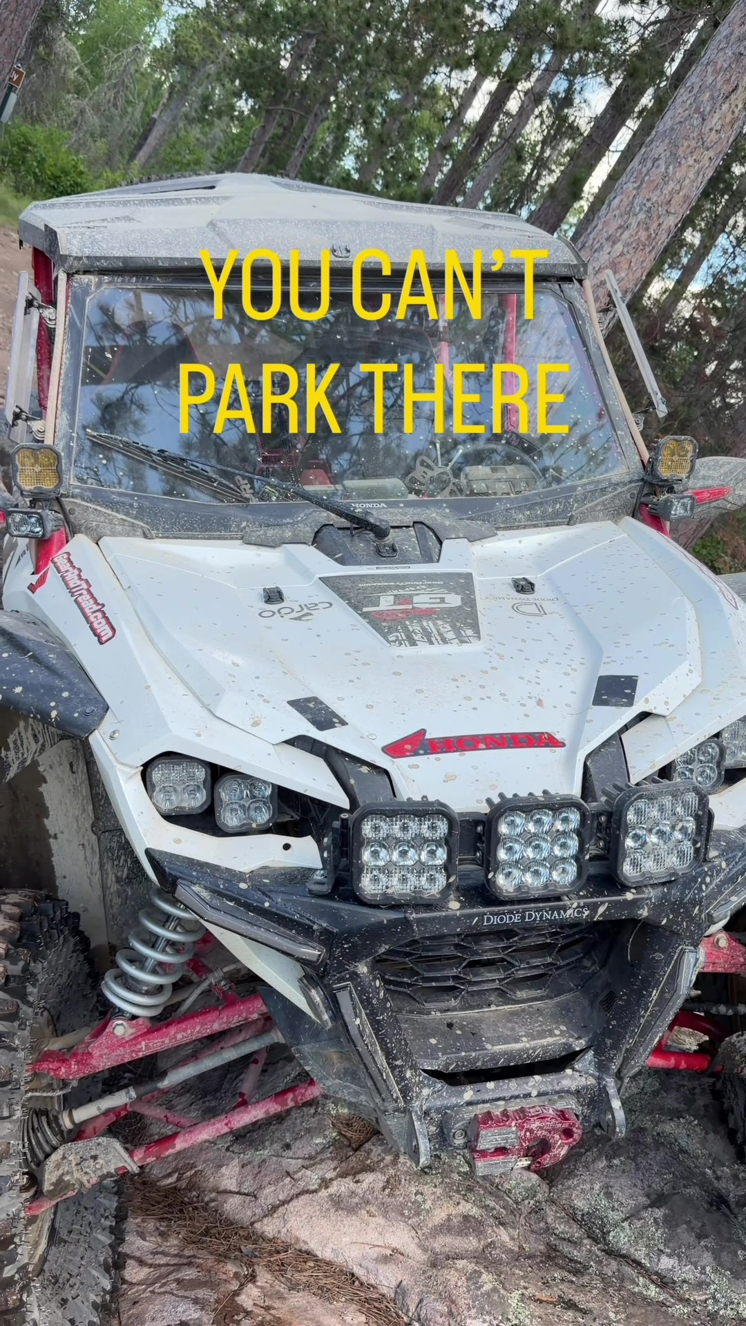 The sign was wrong, I can totally park there   
