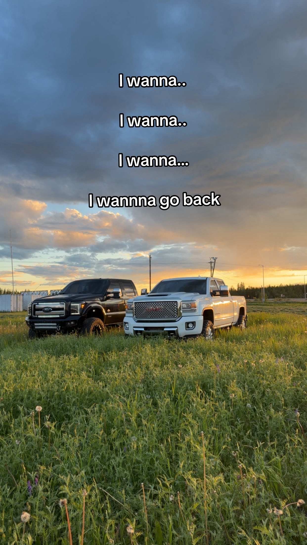 #fypシ #fypシ゚viral #alaska #winter #sleds 
