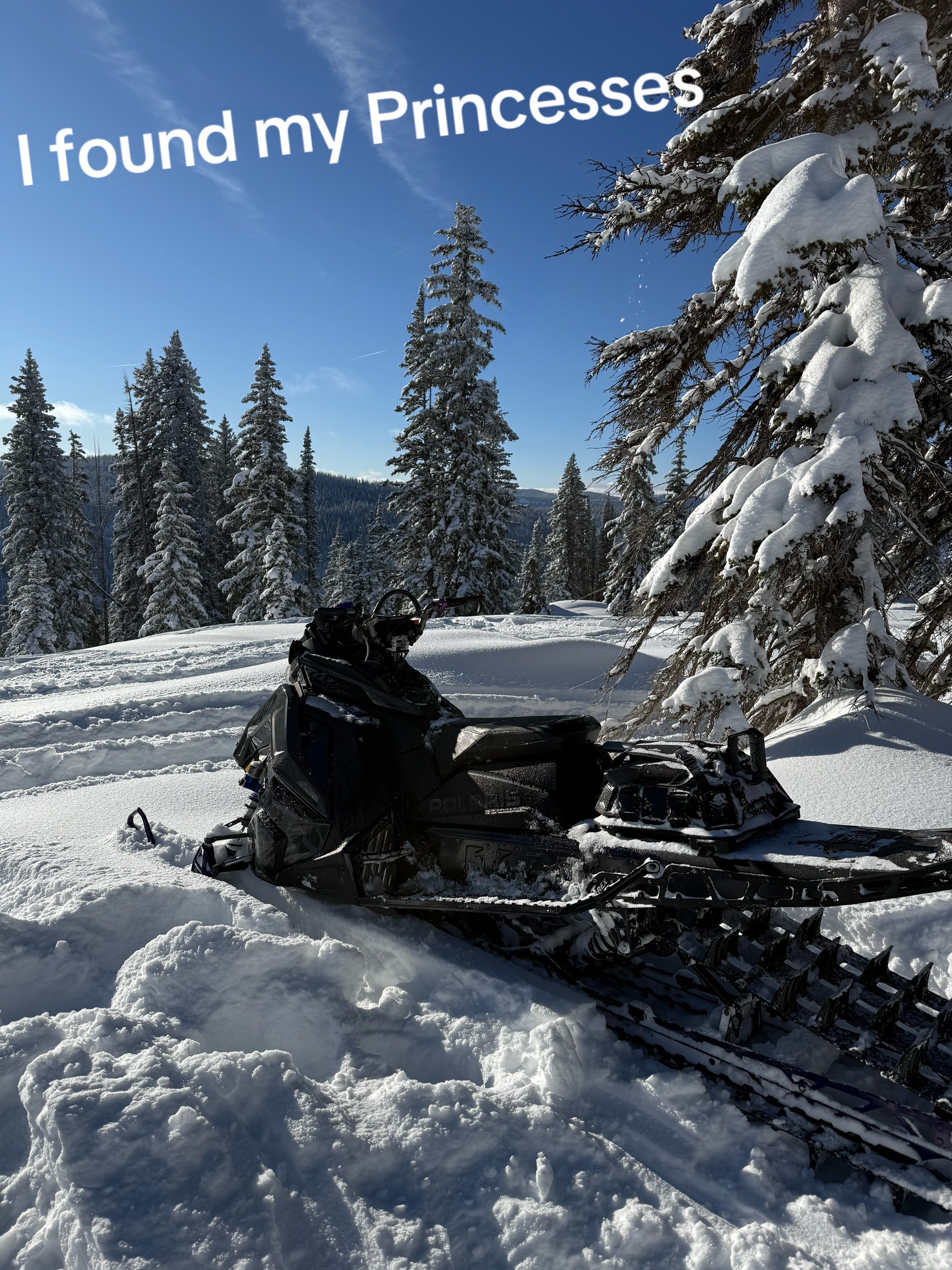 Can’t help it 😂 #snowmobiling #polarissnowmobiles #skillissue 