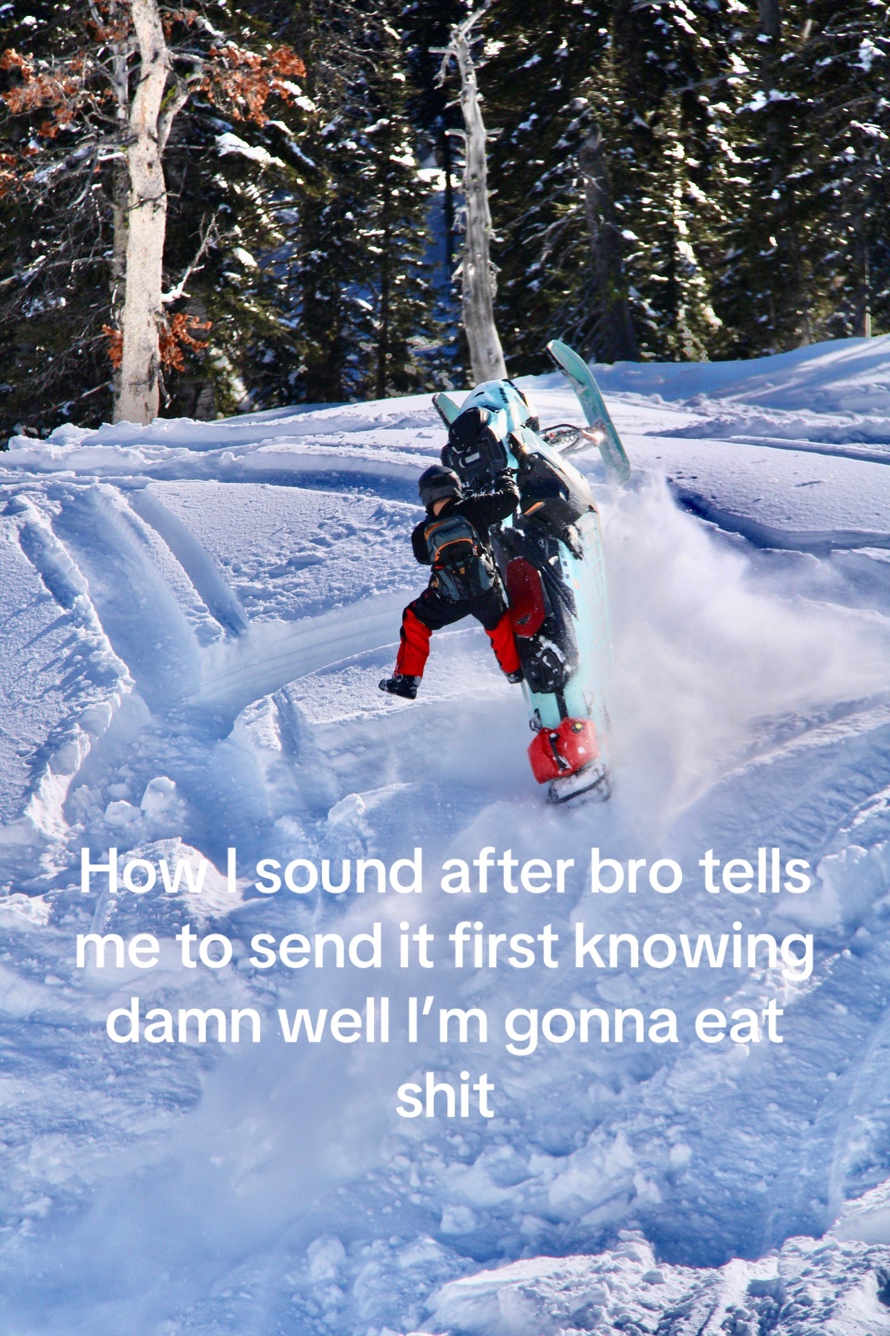 #fyp #winter #bro #sleds #mountains 