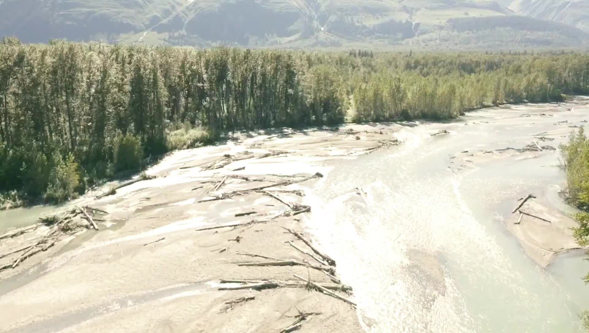 Beauty of a day out killsaw #foryoupage #fyp #alaska #drone#dji 