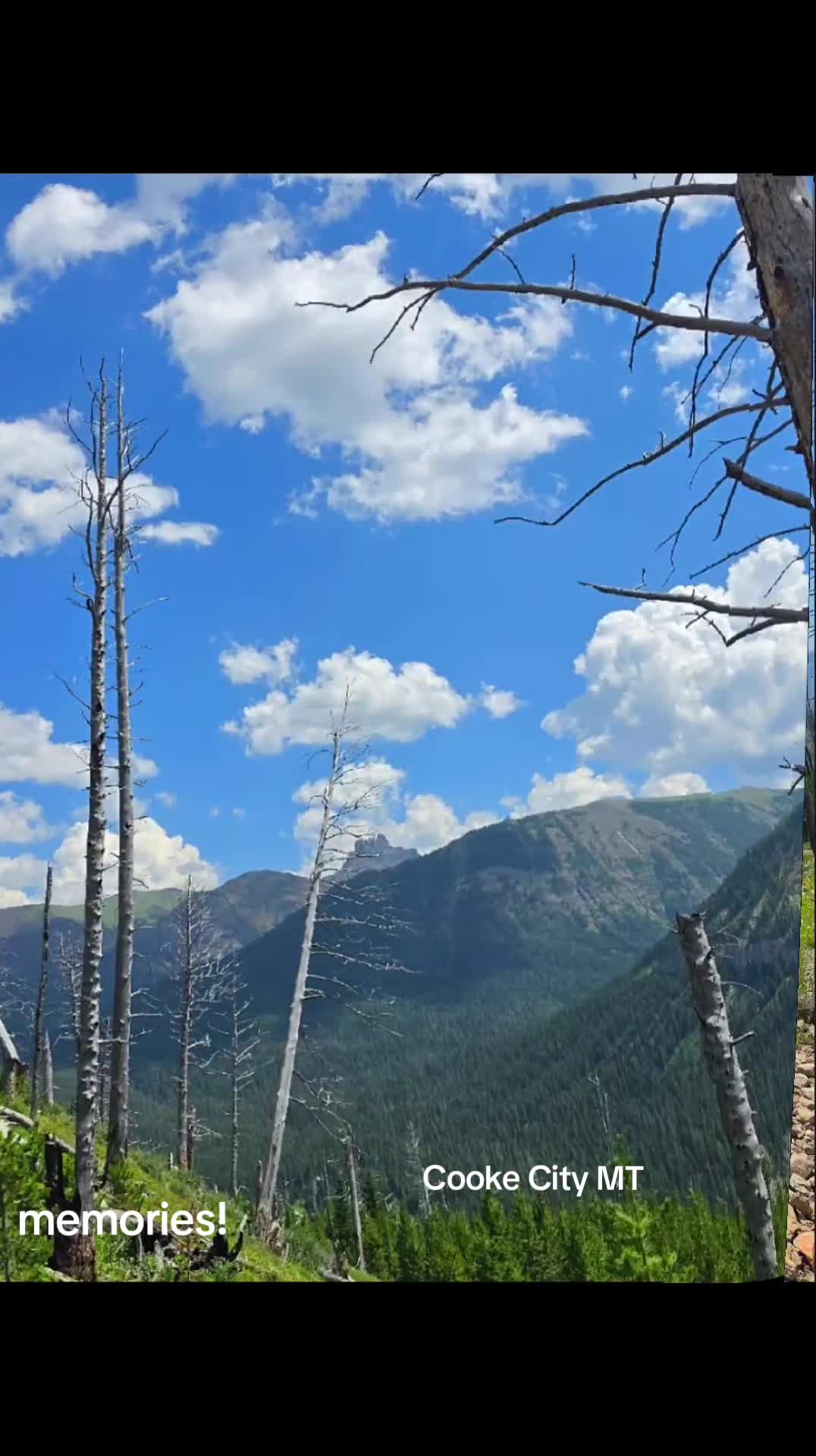 Where the mountains meet the skies! 🩵 @Rowdy 