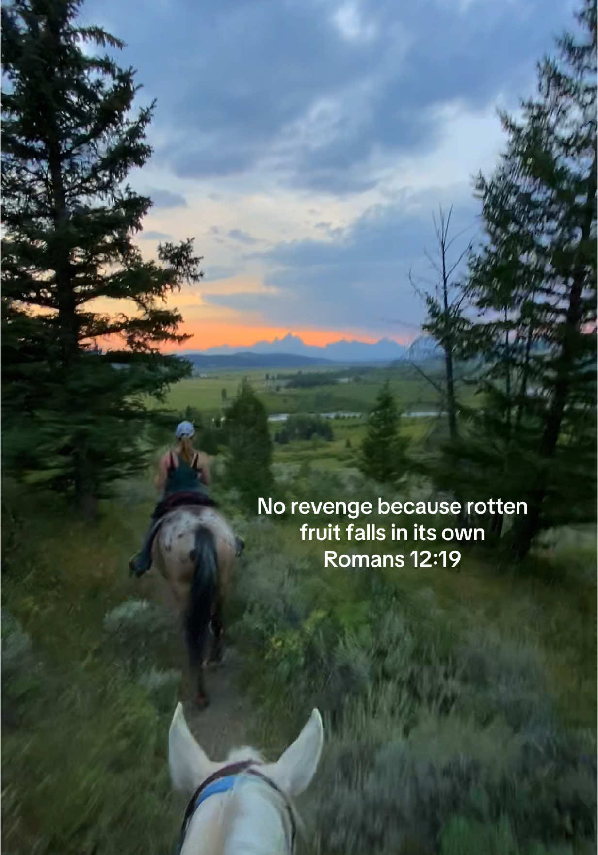 Live & let go #yellowstone #wyoming #montana #grandteton #jacksonhole #jacksonholewyoming #outdoor #wildlife #horses #western #cowgirl #grandtetons 