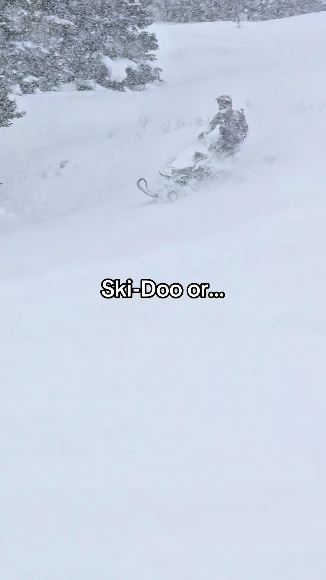 Which one you taking? #skidoo #polaris #fyp 