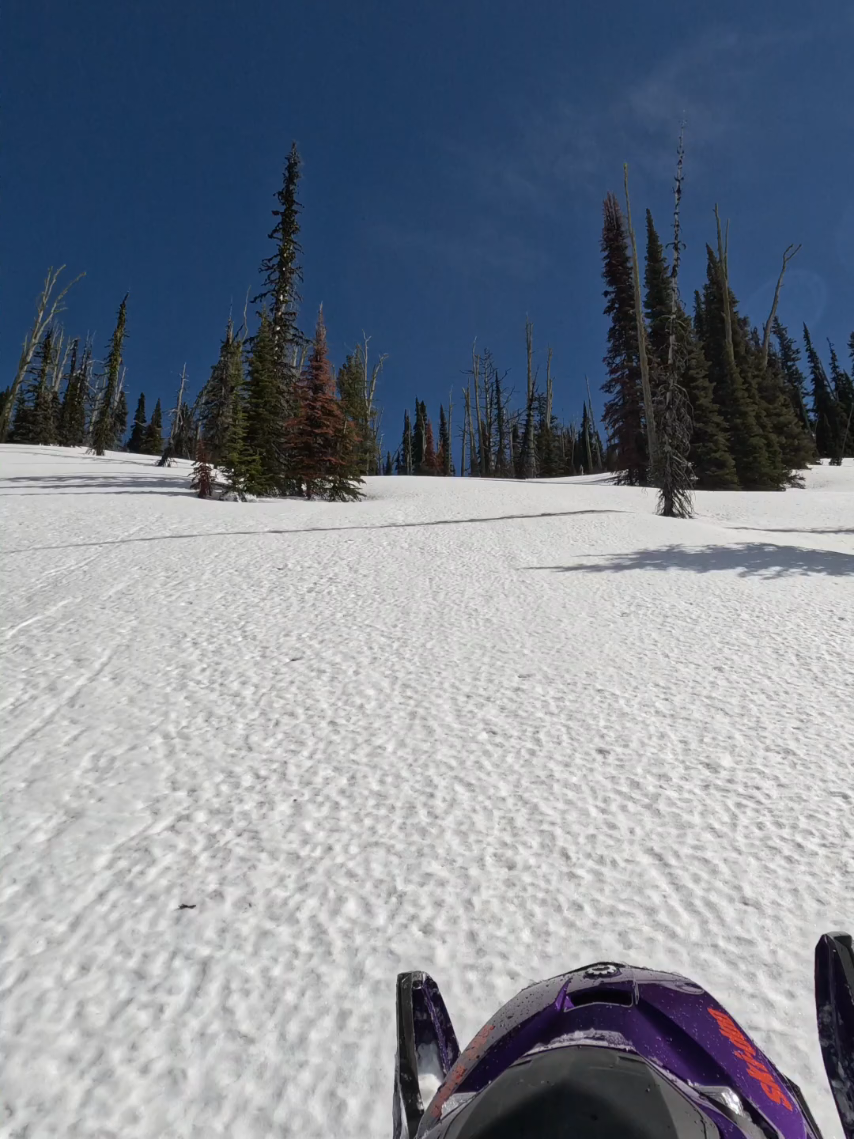 Had the opportunity this past spring to ride the new @Ski-Doo 147" Freeride. man what a fun sled in the spring slush🔥 @MONTANA GROUNDS PRO  @Freshies Built  @Gull Boats & RV  @Tempest Optics  @carbonpursuit  #creatorsearchinsights #thisiswhatpeacelookslike #skidoo #life #explore 