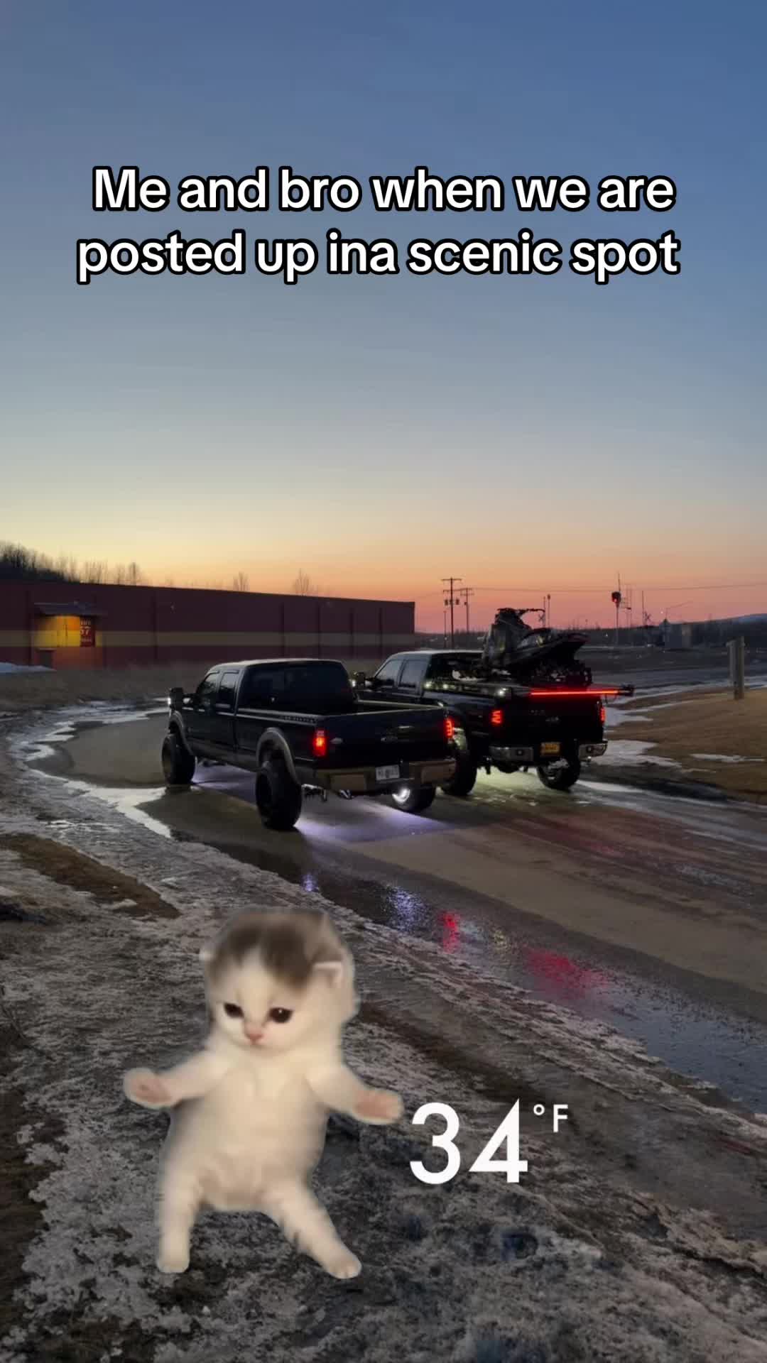 #CapCut #fypシ゚viral #bubbatruck🌾 #steelebody #fords 