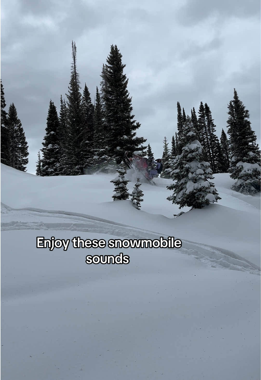 Since we havnt heard them in a while #snowmobilevideos #sledtok #snowmobile #musictomyears #snowmobileseason 