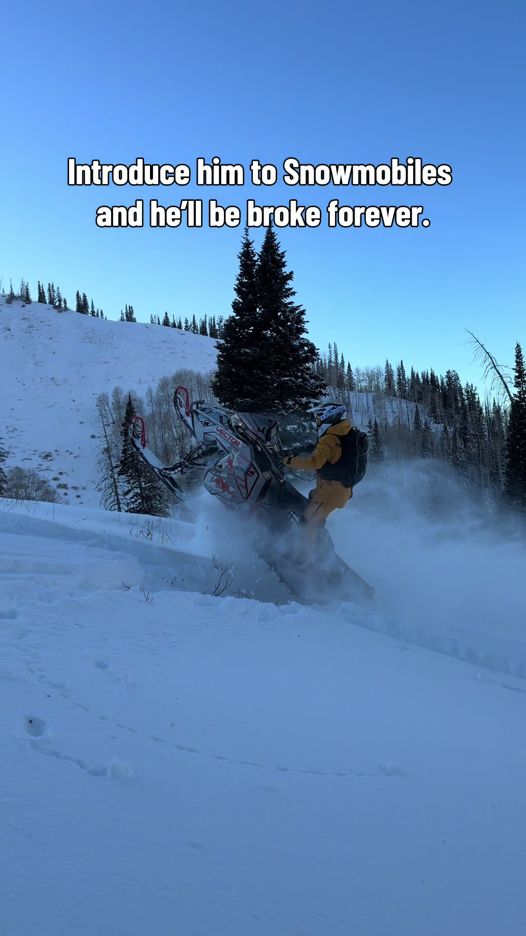 Can’t climb mountains with a 401k 🤷‍♂️  #snowmobiles @Freshies Built @Deviant Ink 