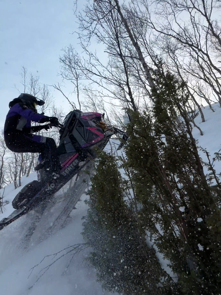 Snow had other plans🤷‍♂️ Musikk by @GGB Exhaust quiet can😍 @KIRKENES MOTORSENTER  @polaris_scandinavia  @Ride Fast Company  @CheetahFactoryRacing  @KLIM  #polaris  #snowmobile  #snow #stuck  #winter 