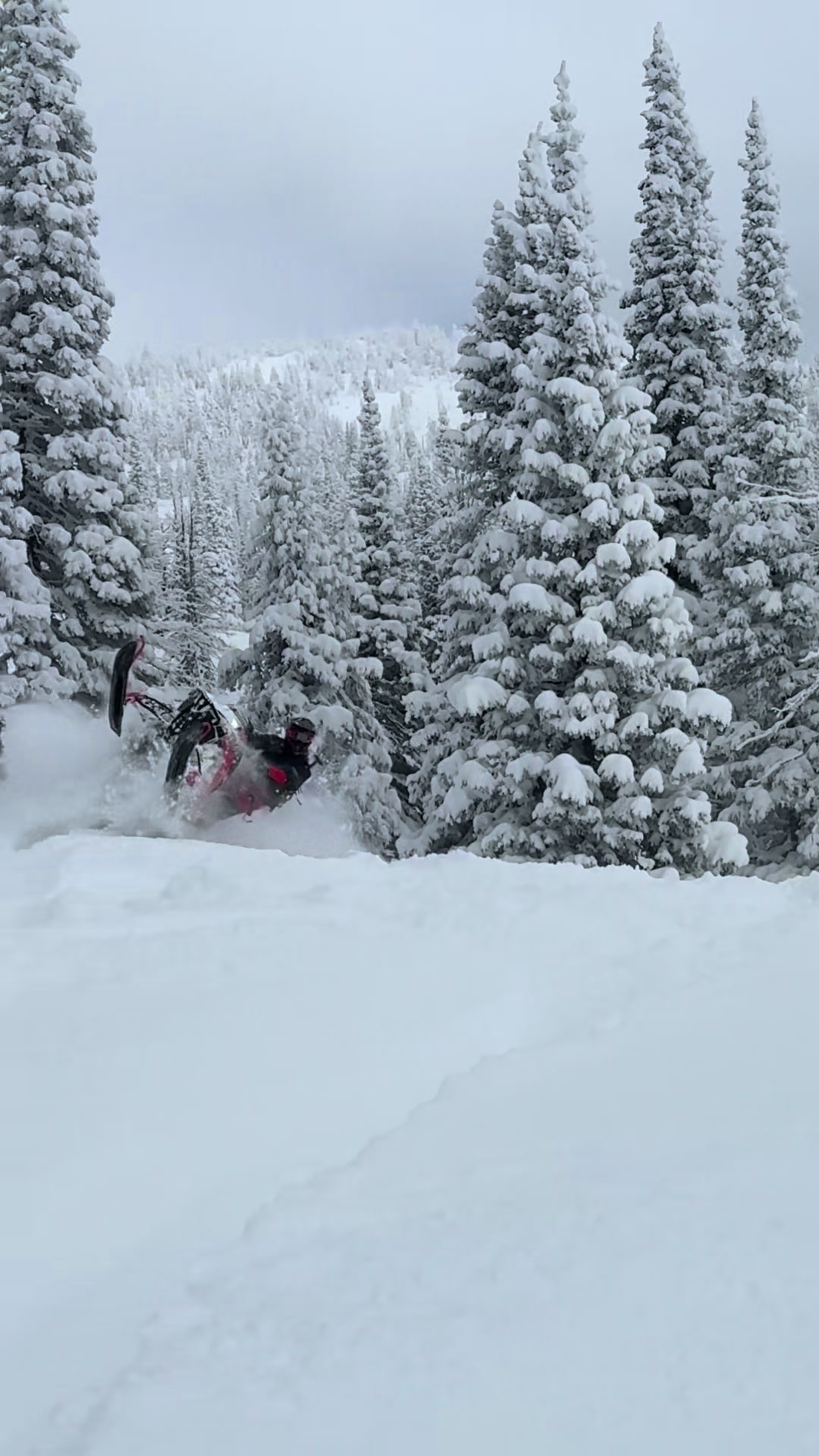 Here’s the secret, pretty simple! #snowmobiles #fyp 