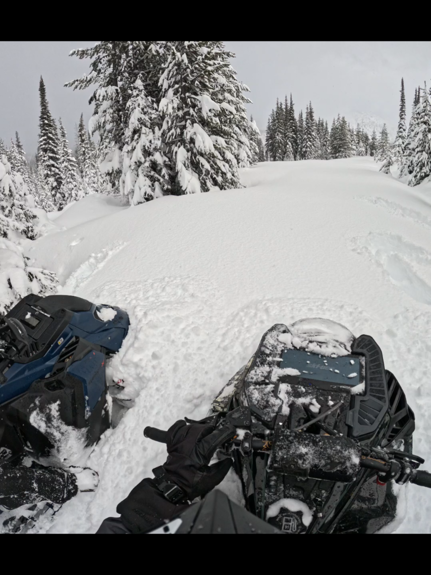 Cruisin'. ❄️  @MONTANA GROUNDS PRO  @Freshies Built  @Gull Boats & RV  @Tempest Optics  @SCS Unlimited  @carbonpursuit  #creatorsearchinsights #naturetok 