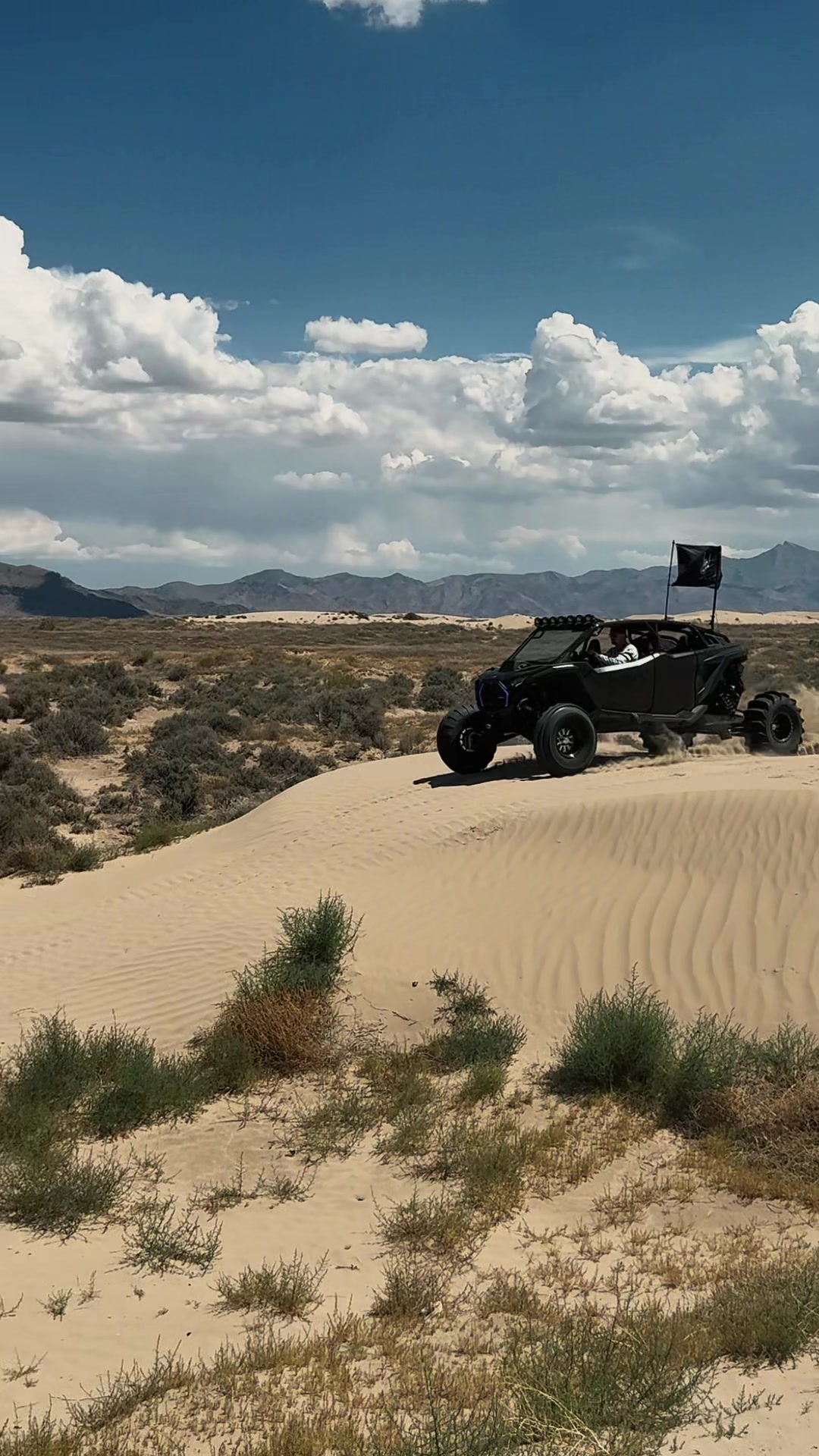 Which one are you choosing? #polaris #canam #best #chooseone #fast @cruellapror @Keith Dune & Divide @Nick 