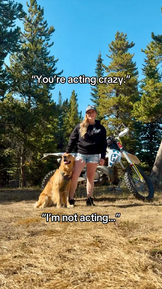 I might be crazy but that just means more fun right!? #crazy #allthefun #dirtbike #goldenretriever #mountains 