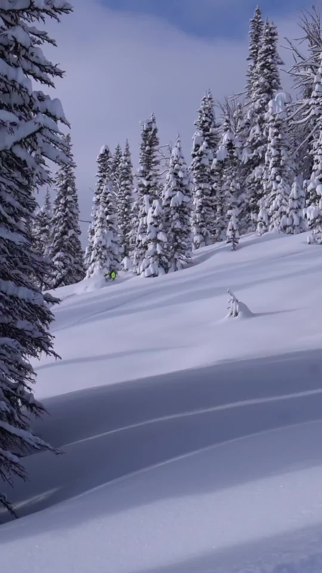 Dreaming of these days❄️ #snowmobile #polaris #snowmobiles #winter #snow  @FLY Racing Global  @Carls Cycle Sales 