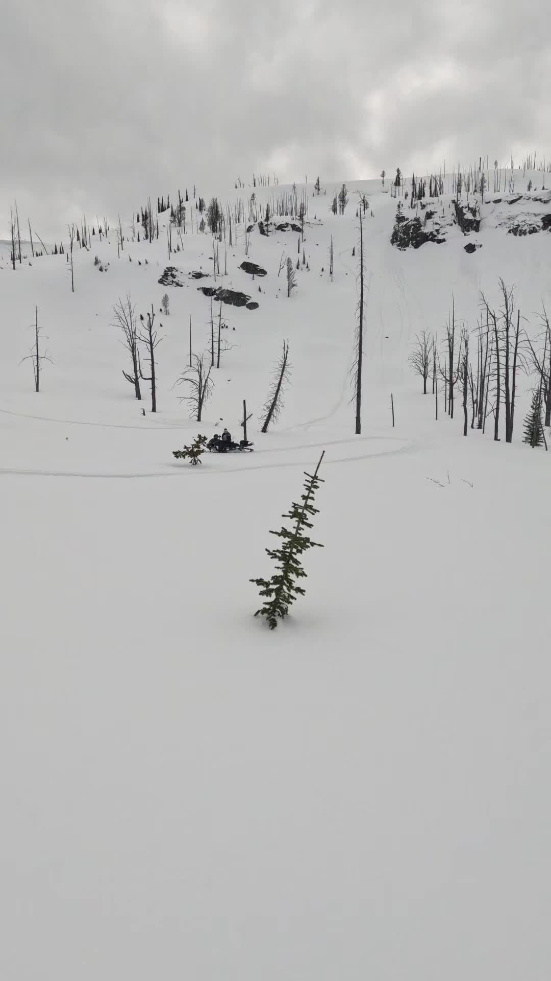 Skis up, dont look back  @MONTANA GROUNDS PRO  @Freshies Built  @Gull Boats & RV  @Tempest Optics  @SCS Unlimited  @carbonpursuit  #creatorsearchinsights #outdoorlifestyle 
