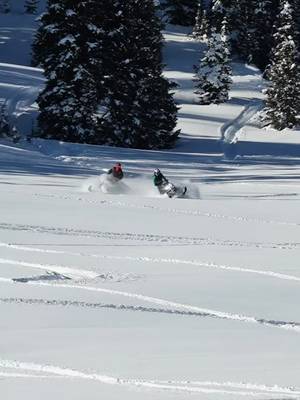 Cant wait for winter! #sled #skidoo850 #wheeliesfordays #fyp #blowthisup 