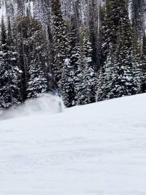 Can’t wait for sled trips this year with two turbos on the @Dura Deck #bluecollardollars #fyp #meme #trending #blowthisup 