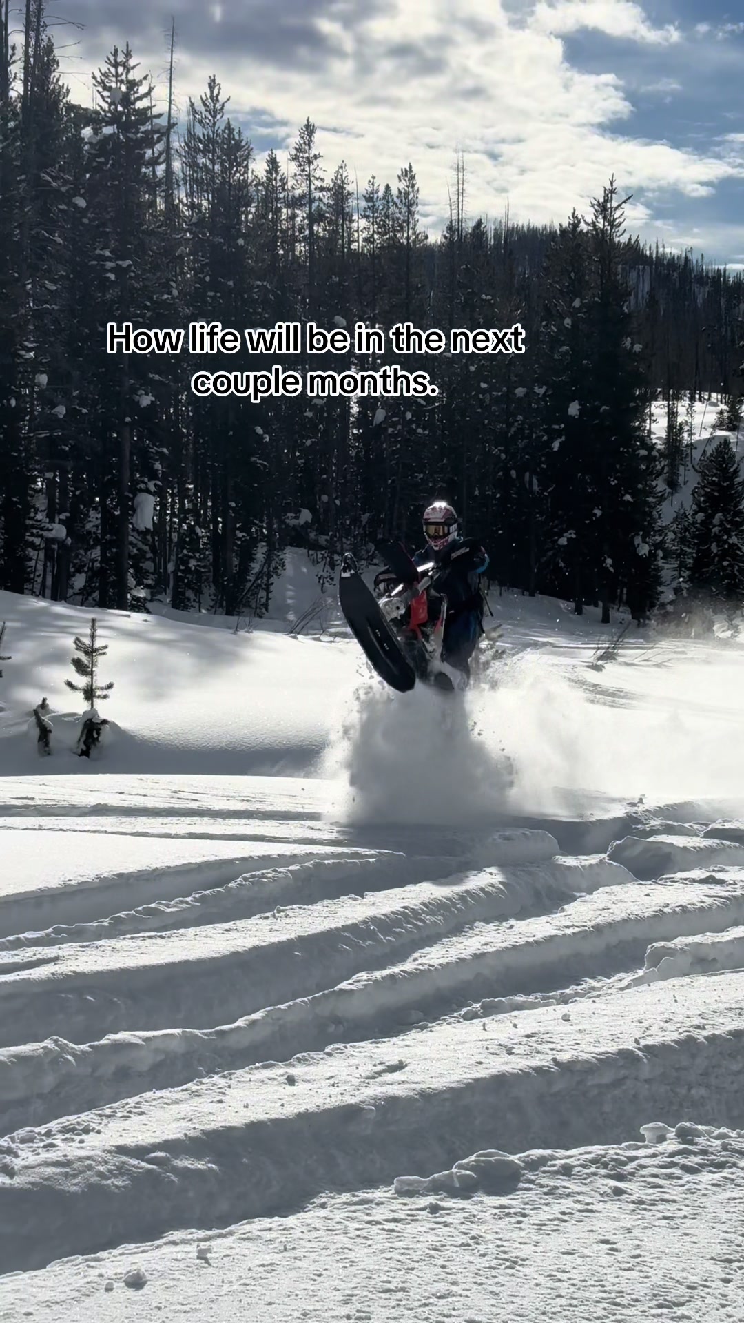 #fyp #300hp #viral #sleds #dreaming 