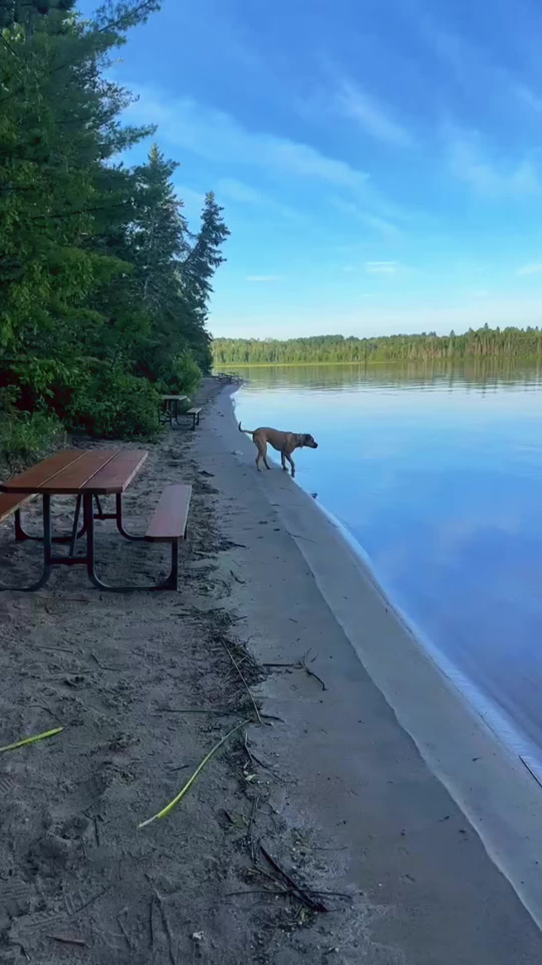 Ivanhoe Lake Provincial Park 🩷 such a beautiful place 