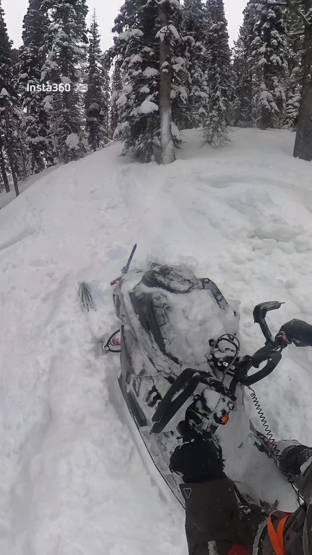 More of this this winter please!!! #snow #turbo #mountains #skidoo #coorado 