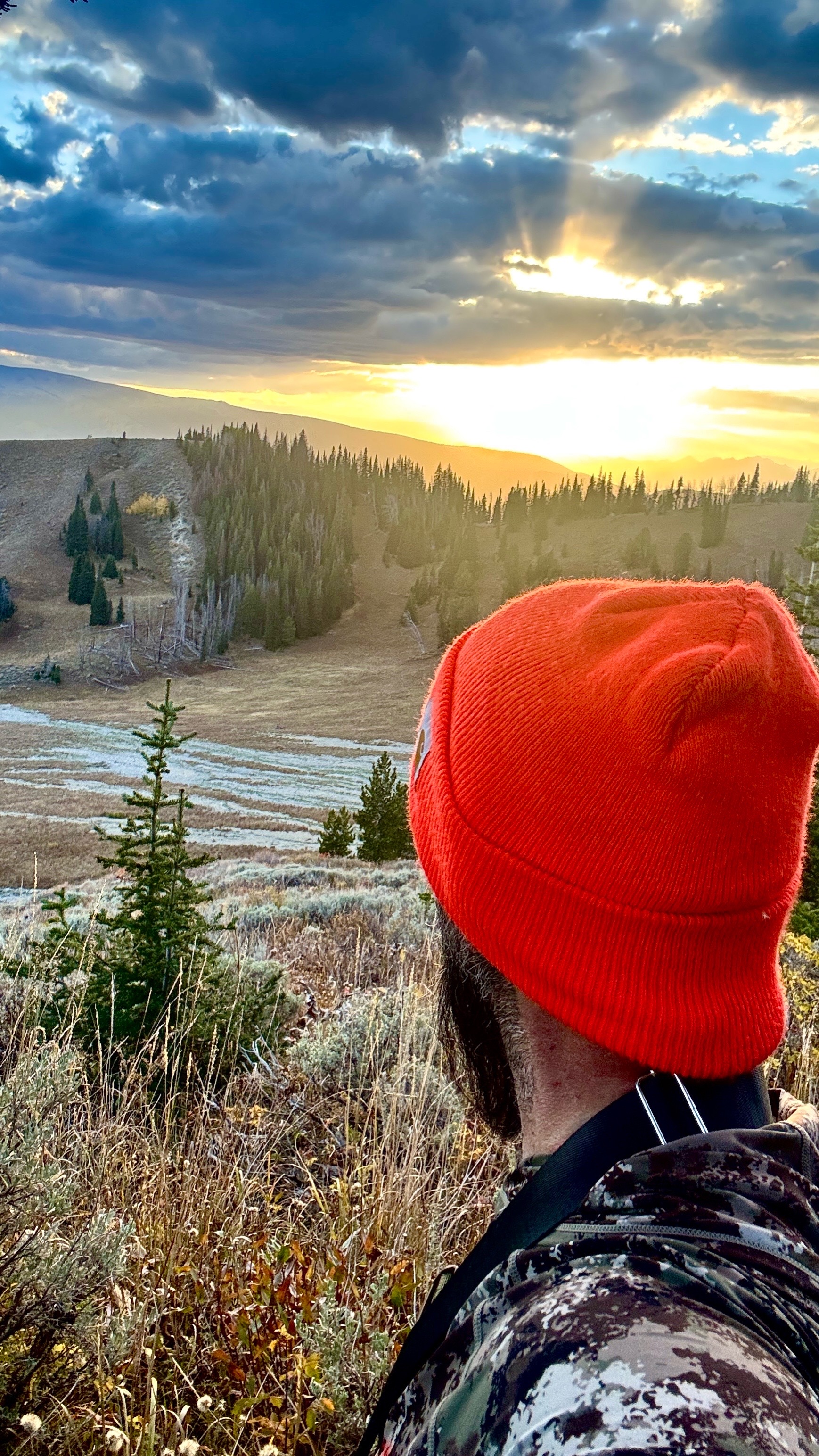 Orange hat, day 3. Went out with a good friend who showed me some new areas and taught me several lessons. We found some bucks, but none worth taking this day. 