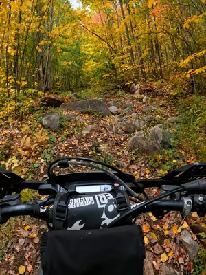 A rocky climb through the fall colors 🍂🪨 Nature makes it look beautiful… the rocks make you earn it. 🔥 — Une montée rocheuse à travers les couleurs d’automne 🍂🪨 La nature rend ça magnifique… mais les roches, elles, te font mériter chaque ligne. 🔥  #hardenduro #rockgarden #fallriding #dirtbikegirl #te300 
