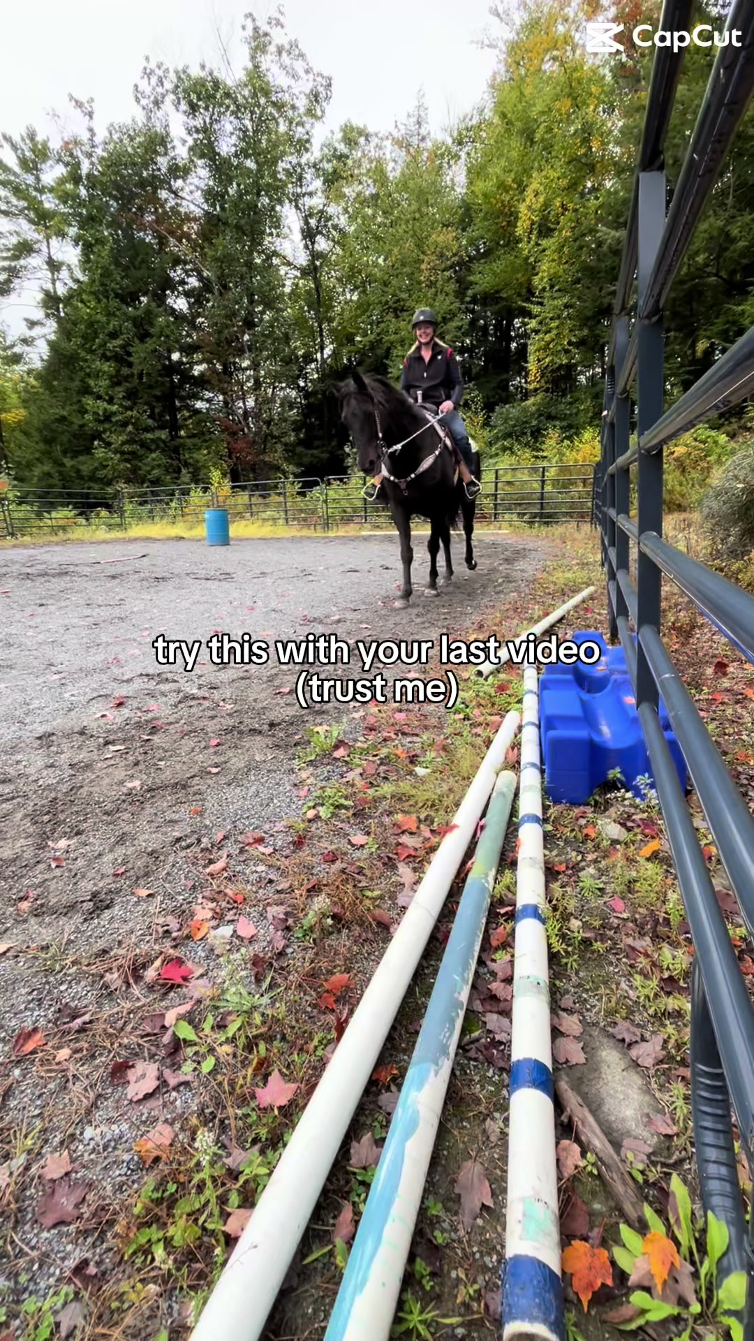 Video credit goes to my 2 1/2 year old. I’d say she did pretty good! This boy has come so far and is loving every minute of it! #momtok #fypシ゚viral #western 