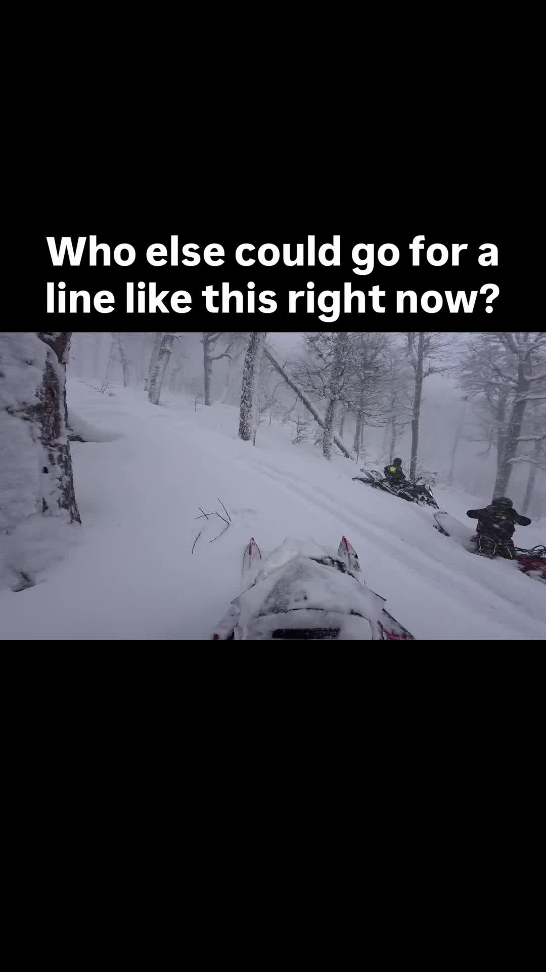 It might still be summer, but I could definitely go for a line like this right now! ❄️ Who else is ready to get back in the trees? #Snowmobiling #MountainRiding #TreeRiding #MountainReady 