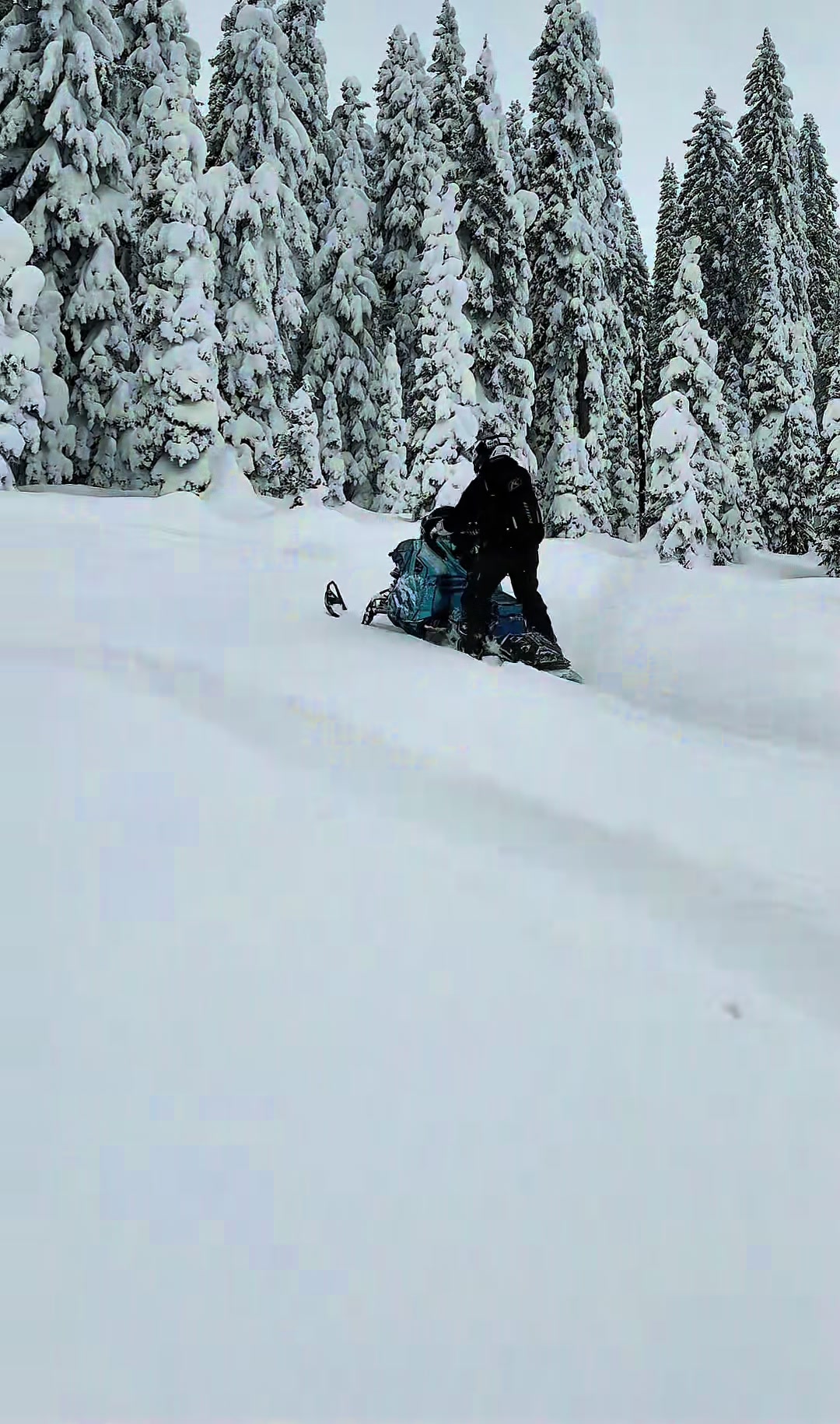 See everyone in a month at the Kalispell Sled Show!! #Snowest#Ride406#fyp 