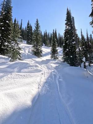 Saturdays that look and sound like this👌🏽 @MONTANA GROUNDS PRO  @Freshies Built  @Tempest Optics  @Gull Boats & RV  @SCS Unlimited  @carbonpursuit  @Dura Deck  @Ski-Doo  #creatorsearchinsights #skidoosummit 
