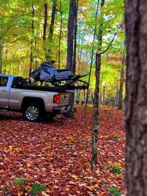 Peak life in the northern woods #fall #sledtok #fyp #viral #foryoupage 