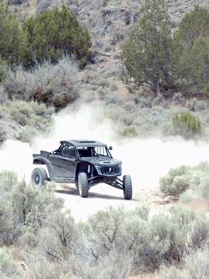 Desert season is back! 