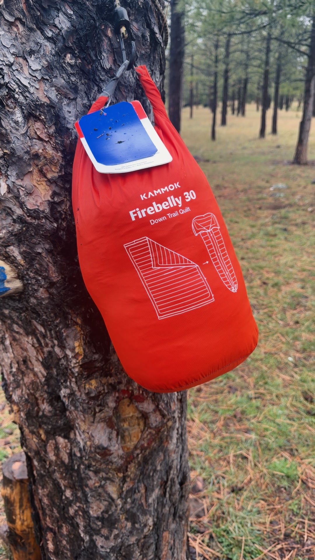 Peeking out of the pines with the @kammok #firebelly Next up: loft, poncho mode, and real use. This has amazing texture which is big for me with the AuDHD. Those with loved ones who have autism will know if something doesn't feel right it's a no go. #Overlanding #AuDHD #CampGear #BackpackingQuilt post is in partnership with @Kammok 