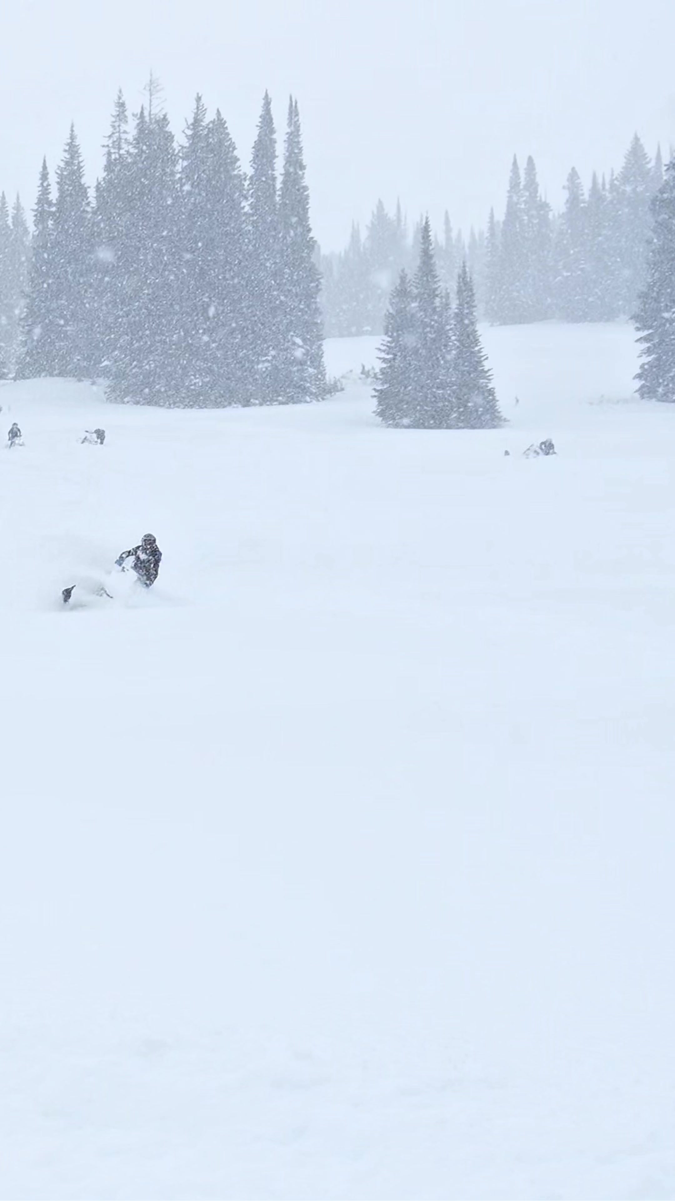 Winters Coming ❄️🌨️ @Caden  #snowmobile #fyp #sledtok #winter #sleds 