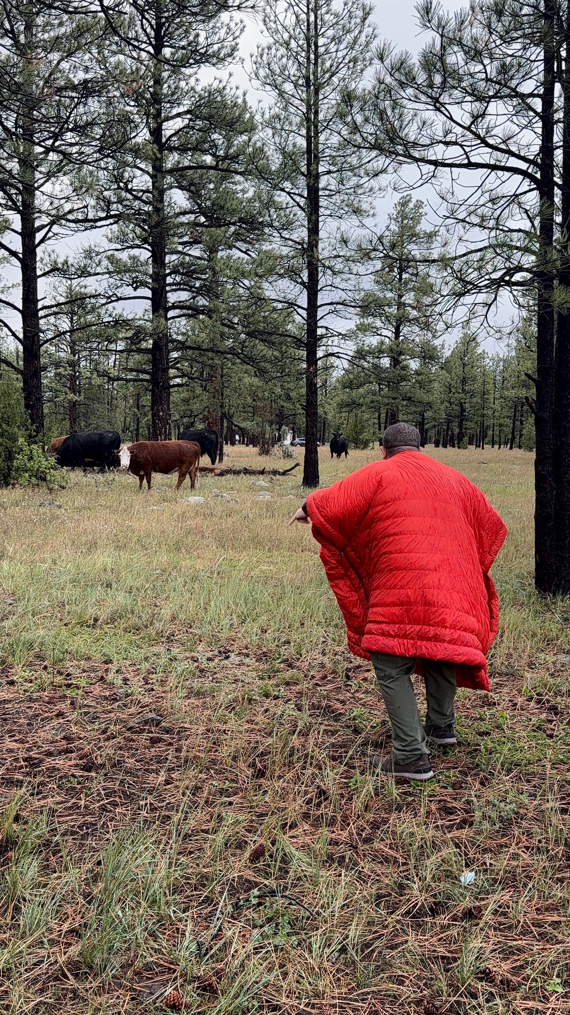 We keep on the move and the adventures going. Memories are core and that is critical to me and the family so you catch us outside or some outdoors expo. I am also making content to get those with autism to experience the outdoors and help find or make adaptive equipment.  #autism #autismawareness #outdoors #camping #family 