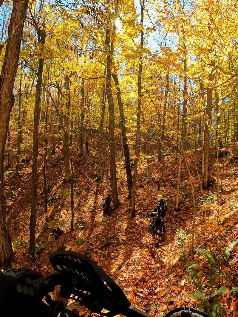 Some things are better experienced than watched. 🔥  —  Certaines choses sont mieux vécues que regardées. 🔥  #Dirtbike #Enduro #AutumnRides #RideMore #ThatsMyKindOfTherapy