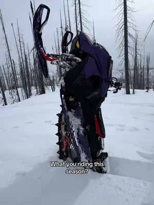 Drop it in the comments, what you riding?  #sledtok #revy #freeride #skidoo #trending 