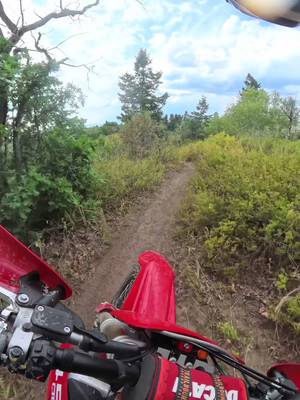 Hit our YouTube channel up for some fresh @ducati content! 