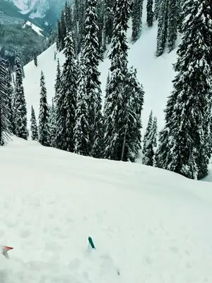 🏔️❄️ FULL SEND, NO LIMITS! 🔥 Deep snow, big mountains, crazy lines and unforgettable moments! 🤘💨 This is more than just riding… IT’S A LIFESTYLE! 💯🔥 Ride hard. Live free. Make memories. 🏔️🚀 #SkiDoo #SnowmobileLife #Revelstoke #MountainRiding #FullSend