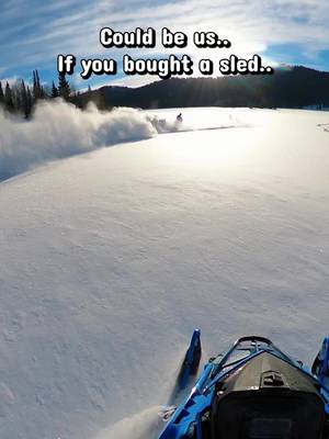 Just sayin…. @Tempest Optics @Oxbow Gear 