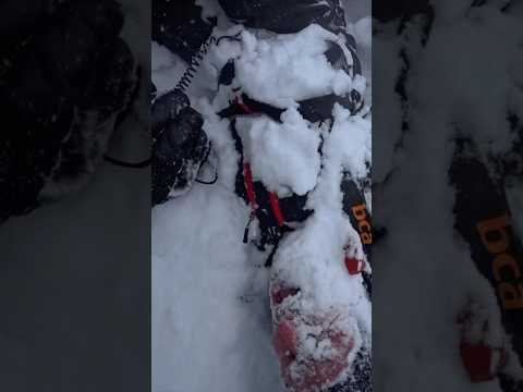 Farewell Revelstoke