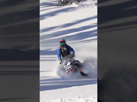 Floating where silence meets horsepower 🕊️💨 #muthafuknsnowday #snowmobile #skidoo #winter
