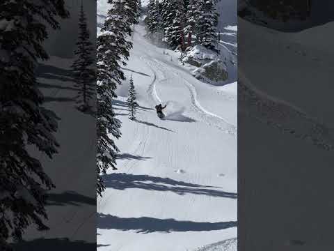 Powsurf waves