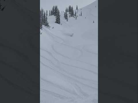 deep days are coming!  #skidoo #backcountry #powder #revelstoke