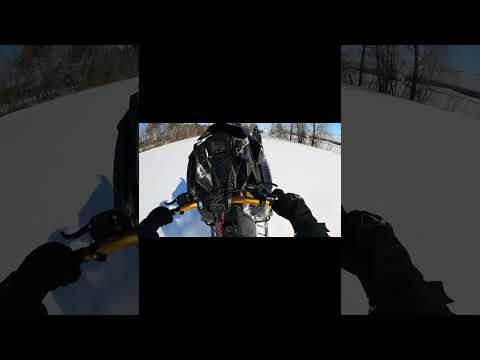 Wheelie madness
