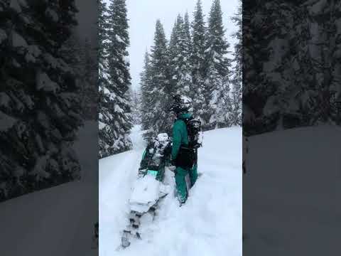 ❄️❄️