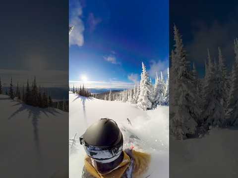 Winter perfect