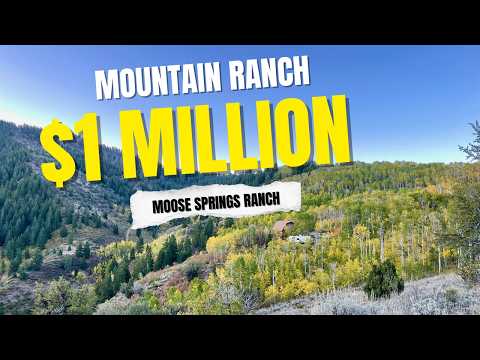 Would you buy this property! Moose Springs Ranch