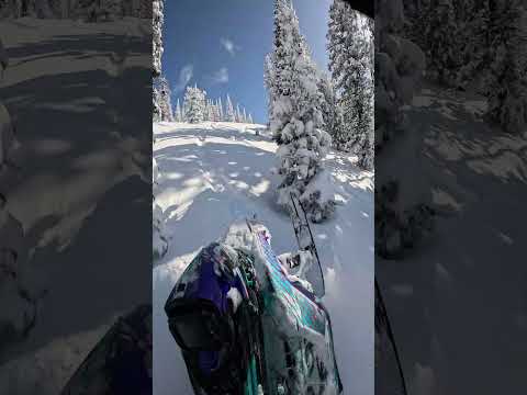 With all of this hot weather on my mind is cold winter start ups and riding in the backcountry